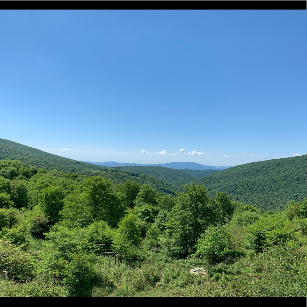 Meet your Posher, Lucas